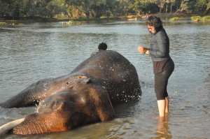 Elephant Bathing - Who's bathing whom?